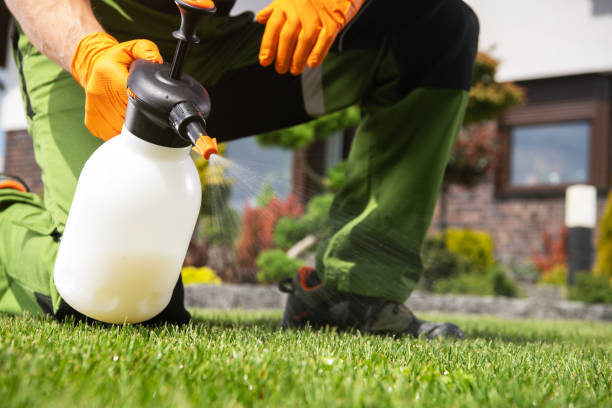 Best Residential Pest Control  in Woodlawn Beach, FL